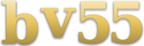 bv55 logo